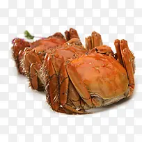 大闸蟹