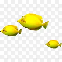 黄色三条鱼夏季遨游