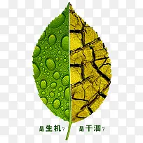 环保