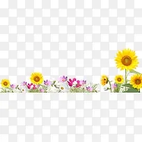 植物海报夏日花朵设计