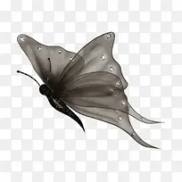 灰色透明蝴蝶