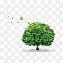 绿色智慧树素材图
