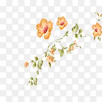 花叶