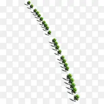 绿化树效果图图片