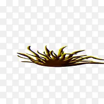 草