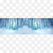 冬季雪树林背景banner