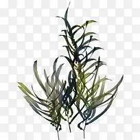 草枝彩绘草枝装饰