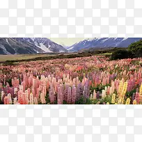 自然风景