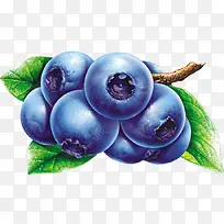 蓝色水果蓝莓