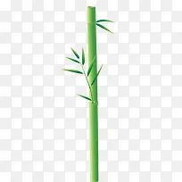 竹，杆，绿色，笔直