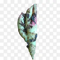 鲜姜带土出货