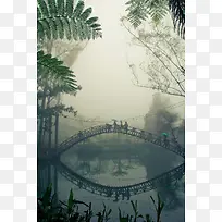 迷雾里的小桥植物