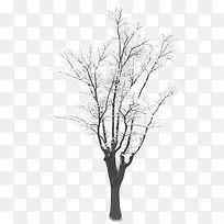 白色冬季树木设计