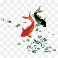 手绘鲈鱼创意插画