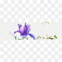 优雅