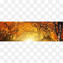 秋天背景素材自然背景素材