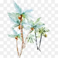 水彩椰子树