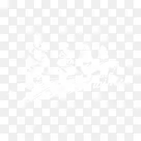 白色数目效果