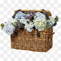 花蓝生活装饰