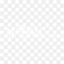 情调尚品白色花体字