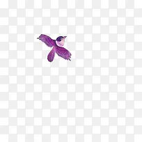 紫色飞鸟