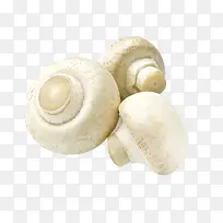 香菇