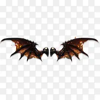 黑蝙蝠翅膀