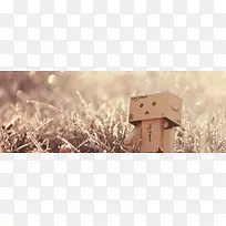 danboard