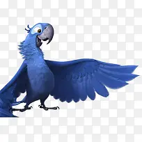 rio-blu鹦鹉