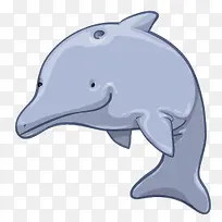 卡通动物海豚