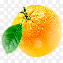 橘子png素材
