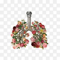 手段形象肺