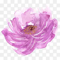 紫色色玫瑰花