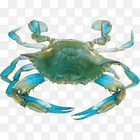 蓝色螃蟹装饰