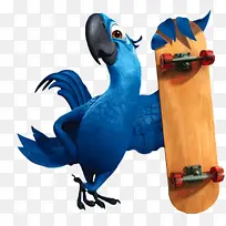 拿滑板的蓝鹦鹉海报背景