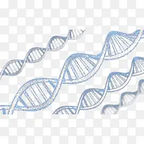 DNA螺旋2