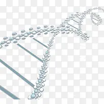 这DNA螺旋