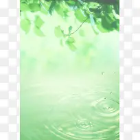 绿色,天空,水生态,水滴,绿叶