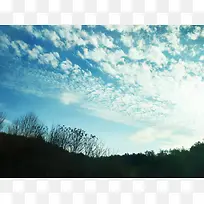 蓝天白云树木风景