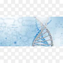 基因转基因科技白色海报背景
