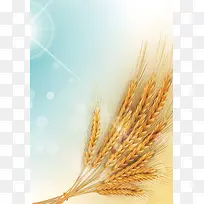 麦子背景装饰