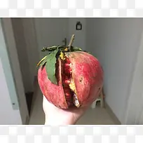 大红石榴挂起来