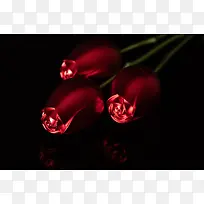 黑色红金属玫瑰4