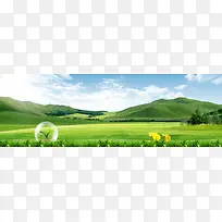草地 树叶 清新简约 背景