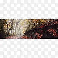 秋季，落叶，风景，摄影18