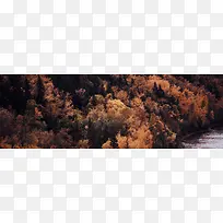 秋季，落叶，风景，摄影23