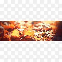 秋季，落叶，风景，摄影43