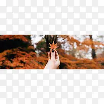 秋季，落叶，风景，摄影49
