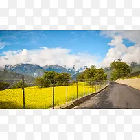唯美绿色风景