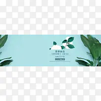 夏季新品banner